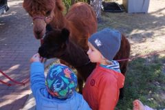IMG_20250926_095241