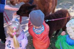 IMG_20250926_095249