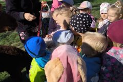 IMG_20250926_102153
