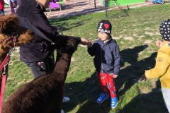 IMG_20250926_102359