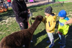 IMG_20250926_102412