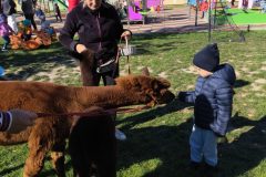 IMG_20250926_102438