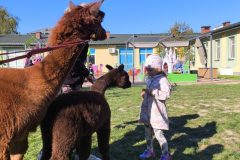 IMG_20250926_102600