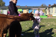 IMG_20250926_102604