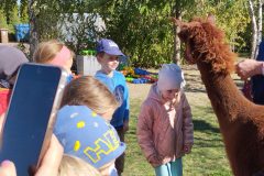 IMG_20250926_110623