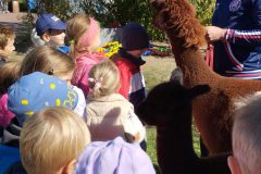 IMG_20250926_110640