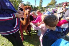IMG_20250926_110804