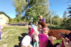 IMG_20250926_111208
