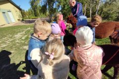 IMG_20250926_111247