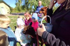 IMG_20250926_111329