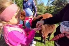 IMG_20250926_111351