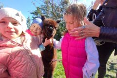 IMG_20250926_111407
