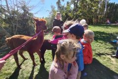 IMG_20250926_111425
