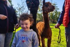 1790604542677