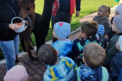 IMG_20260928_093103871