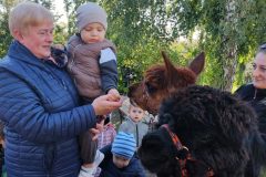 IMG_20260928_093702755