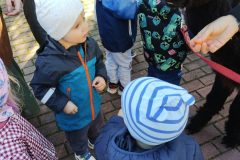 IMG_20260928_094201948