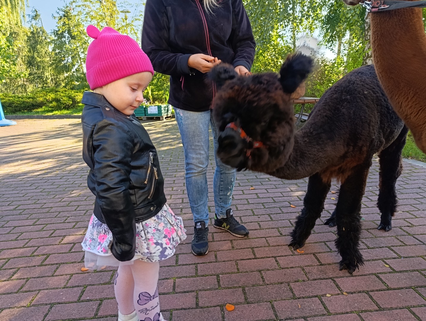 MVIMG_20260928_100650