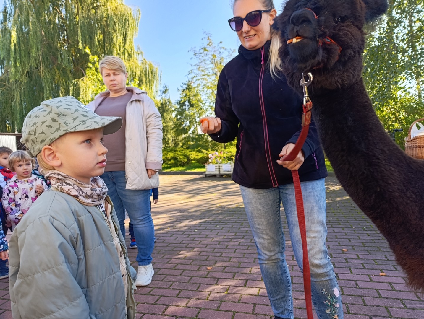 MVIMG_20260928_100719