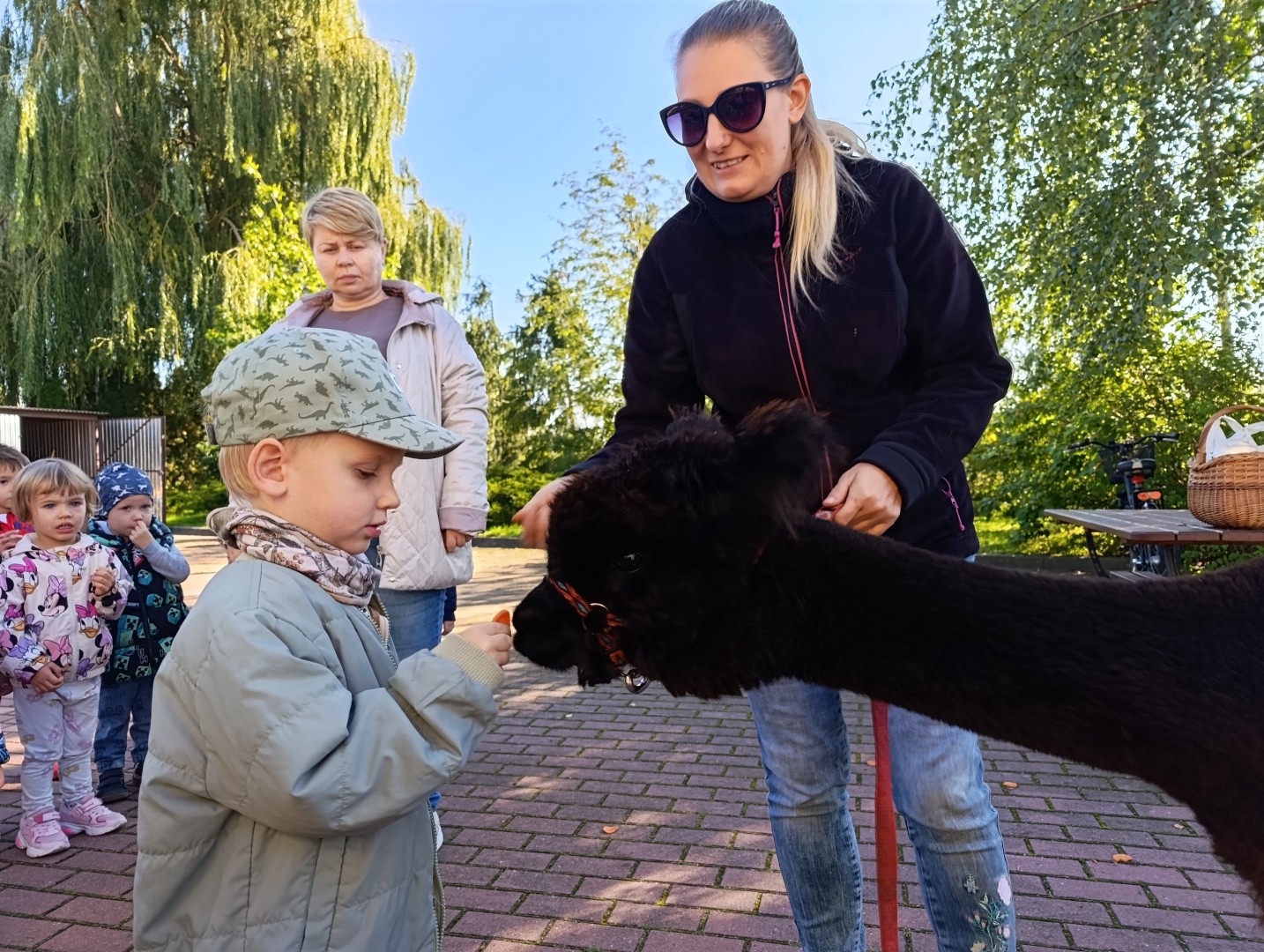 MVIMG_20260928_100721