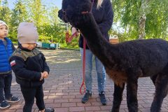 IMG_20260928_100544