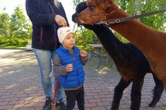 IMG_20260928_100610