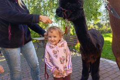 MVIMG_20260928_100457