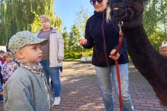 MVIMG_20260928_100719