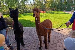 MVIMG_20260928_100856