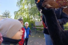 MVIMG_20260928_101244