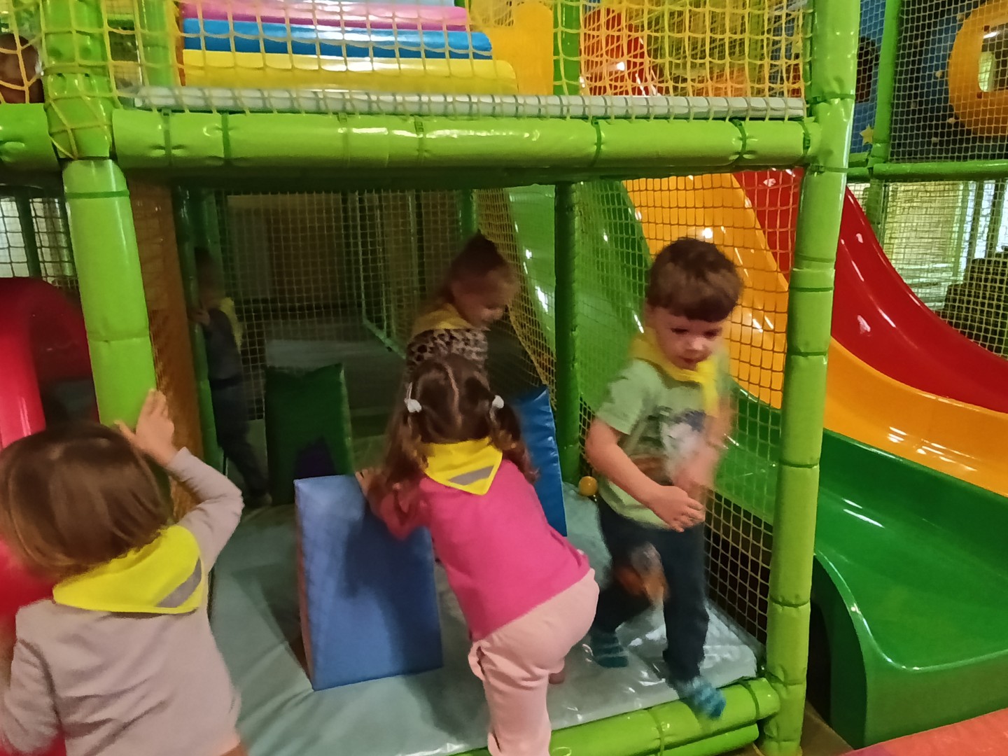 MVIMG_20261019_101941