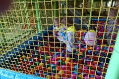 IMG_20261019_100512