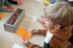 IMG_20250311_102718