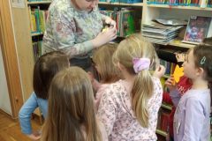 IMG_20250311_104249