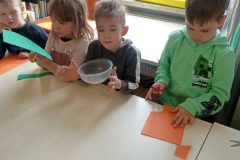 IMG_20250415_103842