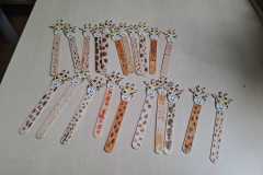 IMG-20260515-WA0004