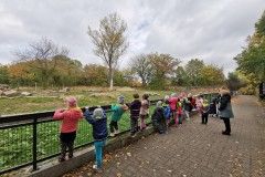 IMG_20221011_105705