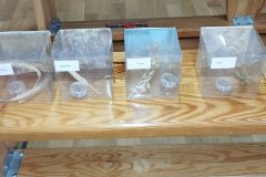 IMG_20261015_101013