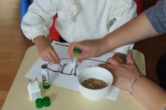 IMG_20261015_102825