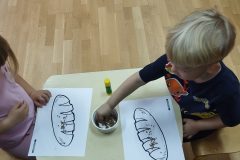 IMG_20261015_103809