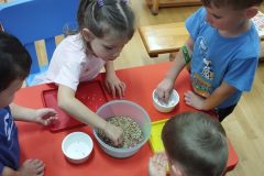 IMG_20261015_104048