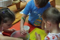 IMG_20261015_104120