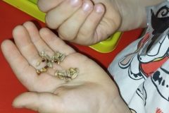 IMG_20261015_104216