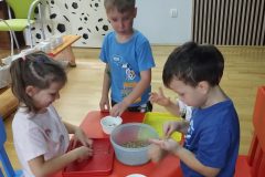 IMG_20261015_104603