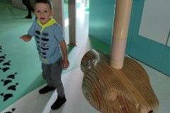 IMG_20211014_122531