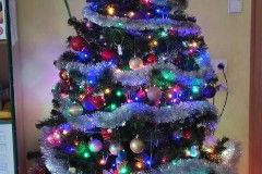 IMG_20221202_112657