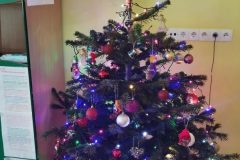 IMG_20251203_104205