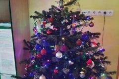 IMG_20251203_104207