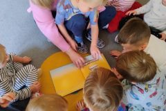 IMG_20251022_141133588_AE IMG_20251022_141133588_AE