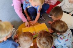 IMG_20251022_141134710_HDR_AE IMG_20251022_141134710_HDR_AE